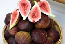 반백년 터 닦은 ‘영암 무화과’ 명품 됐네!