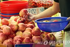 "남기면 아깝잖아" 사과·배 갈아서 벌컥벌컥…건강에 오히려 독?