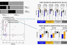"특정 유전자 쌍, 암과 있을 때 암세포 죽어" 암 치료 새 길 열리나