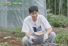 '삼시세끼 Light'에도 불어온 '임영웅 효과'! 자체 최고시청률 경신