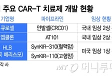 '원샷' CAR-T 항암제, 내년 국산화 여부에 '촉각'…국내 개발사 주목