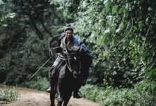 ‘전,란’, 넷플릭스의 가능성과 역설적 한계