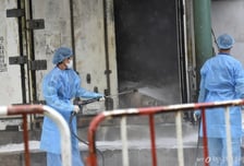 둘 중 한명은 '사망'…사람잡는 '조류독감', 한국 뚫렸다