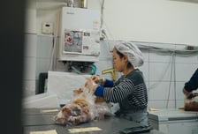 “김치에 대한 자부심이 매일의 원동력입니다”