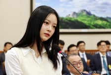 뉴진스 하니가 국회에 남긴 것[기자수첩]