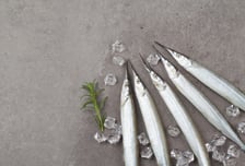 "맛있게 먹고도 꽁치처럼 날씬해진다" 11월에 즐기는 다이어트 해산물