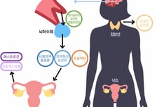 "자궁내막증, 수술 없이 치료" 여성호르몬의 놀라운 기능[한 장으로 보는 건강]