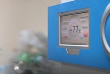 불규칙하게 '쿵쾅' 뛰는 심장…얼린 풍선으로 혈관 막자 벌어진 일