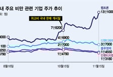 '기적의 비만약' 상륙에 주가 살 찌우더니…이 종목들, 지금은?