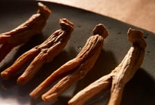 당뇨병 걸린 그룹, 홍삼 먹자 혈당 '뚝'…연구팀 "치료 가능성 확인"