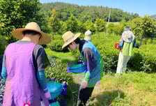 “일단 한번 ‘여기’서 살아보시라니깐요”