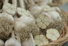 ‘단군의 자손’ 확 사로잡은 ‘의성 마늘’