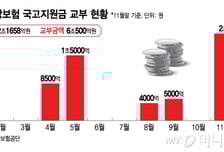 건강보험 국고지원금 6.1조 미지급돼…"조속히 지급해야"