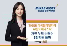 TIGER 미국필라델피아AI반도체나스닥 ETF, 개인 1000억 샀다