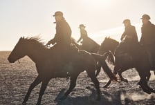 무적의 '하얼빈'을 누가 막으랴? 250만 관객 돌파