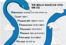 '푸른 뱀(BLUE SNAKE)'으로 새해 건강 지키세요