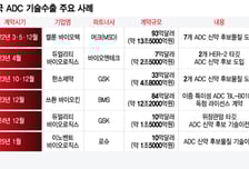 중국 ADC 기술 얕잡아 봤는데…거대 자본 앞세워 급부상