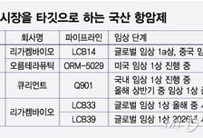 파죽지세 '엔허투'…내성 시장 겨냥하며 뒤쫓는 K바이오