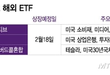 '과세논란'에도...해외ETF 상장 이어진다
