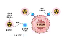 서울대병원, 삼중음성유방암·췌장암 잡는 '신무기' 개발 나선다