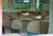 의대 4곳 중 1곳 수강신청 '0'…"의료현장 심각한 위협" 의교협 성명