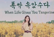 6년 만에 안방 극장 복귀하는 아이유, 첫 시대극은 어떨까