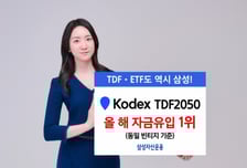 삼성운용 KODEX TDF2050 액티브, 올해 자금유입 1위