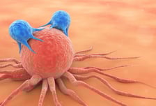 "붉은 고기 끊고 채소만 먹어" 그래도 걸린다…5대 암 똑똑하게 막으려면