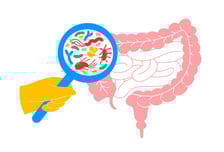 "화장실 잘 가야지" 아이에 꼭 챙겨먹였는데…유산균의 두 얼굴