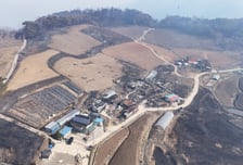 영양군, 농업재해조사 TF팀 운영…산불 피해 농가 신속 지원