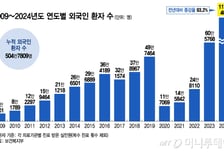 한국 온 외국인들 '피부·성형외과'로 우르르…필수의료 이탈 부채질하나