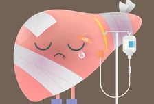 간에 달라붙은 지방, 심혈관도 망가뜨린다고? [한 장으로 보는 건강]