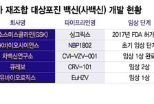 대상포진 백신 시장 재편 가속화…국산 사백신 개발도 속도↑