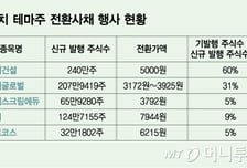 급등하던 '대선 테마주', 전환사채 물량 폭탄…개미지옥 될라