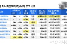 "주식 재미 못 봐" 10.3조 몰렸다…'피난처' 된 이곳, 어디가 더 좋을까?