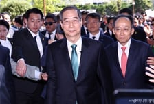 미국 증시 뛰었는데 한국은…"정치 테마주만 출렁" 개미들 몰려간 곳