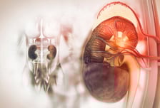 "콩팥 기능 10%도 안 남아"…침묵의 '이 병' 절반, 당뇨병 환자였다