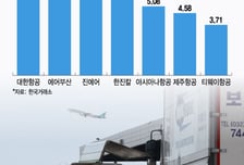 "환율 떨어졌다" 훨훨 날아오른 항공주…기관이 사 모았다