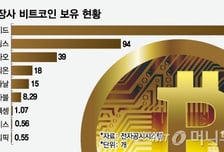 비트코인 투자는 게임업체만? 하반기부터 기업 투자 늘어나나
