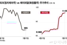 "역시 믿을 건 실적뿐"…정치테마주 반토막에 불개미 '피눈물'