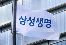 삼성생명, 1분기 양호한 실적에도 성장 둔화 우려-LS