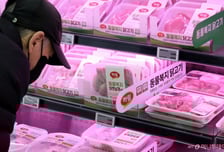 브라질 닭 수입금지에…마니커 상한가 등 육계주 동반 강세