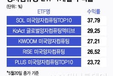 반짝 테마 아니었어?…양자컴퓨팅ETF, 수익률 최고 37%
