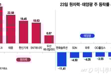 원자력 웃고·태양광 울었다…美 에너지 정책에 희비 갈린 주가