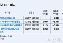 올해 대세 팔란티어ETF 줄상장…4종 수익률 달라 왜?