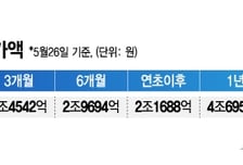 '조기 대선 정책+금리인하 효과' 올해 배당주 펀드에 2조 몰려