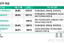 美 러브콜에 최고 28% '껑충'…"구성 따라 수익률 희비, 잘 따져봐야"