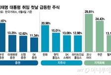 "이재명 덕분에 돈 벌어" 개미 환호…지역화폐·지주사 신고가 터졌다