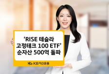 RISE 테슬라 고정테크100 ETF, 순자산 500억 돌파
