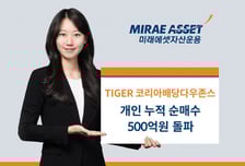 TIGER 코리아배당다우존스 ETF, 개인 누적 순매수 500억 돌파